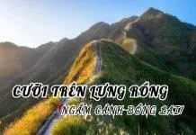 10 sai lầm thường gặp khi trị mụn trứng cá khiến mụn càng trầm trọng