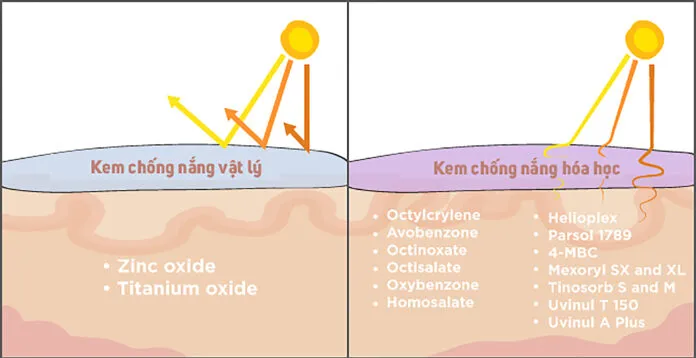 kem chống nắng vật lý và hóa học (Ảnh: Internet)