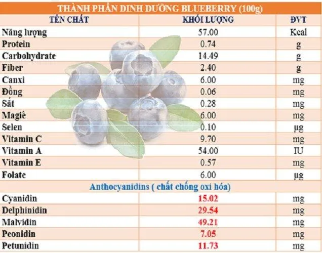 Thành phần dinh dưỡng của Blueberry (ảnh: internet)