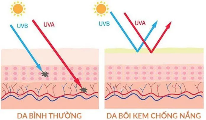 Đây là minh họa cho làn da dùng kem chống nắng và không dùng kem chống nắng (Nguồn: Internet).