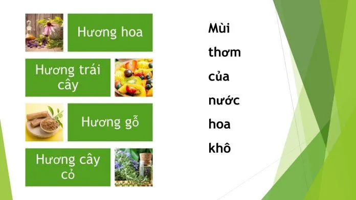 Những mùi hương cơ bản