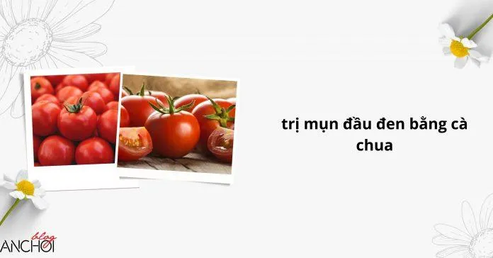 Cà chua là phương pháp nhân gian kinh điển nhất của mọi cô nàng giúp trị mụn đầu đen ( Nguồn: Blogphunu.edu.vn)