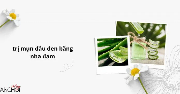 Nha đam là một trong những nguồn nguyên liệu tự nhiên có tác dụng làm đẹp da nhất ( nguồn: Blogphunu.edu.vn)