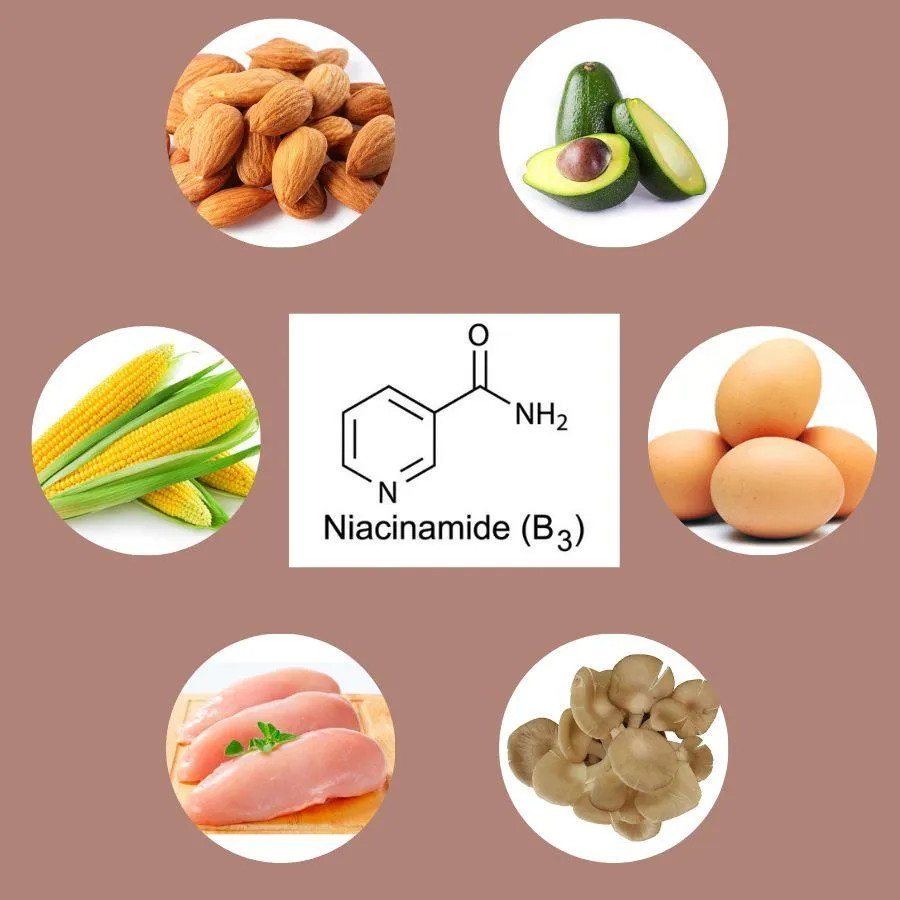 Niacinamide là một phứt hợp của vitamin B3. (Nguồn ảnh: Blogphunu.edu.vn)