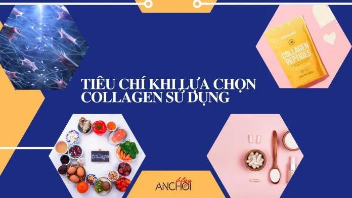 Lưu ý khi lựa chọn Collagen Mỹ hiệu quả cho làn da (Nguồn: Blogphunu.edu.vn)