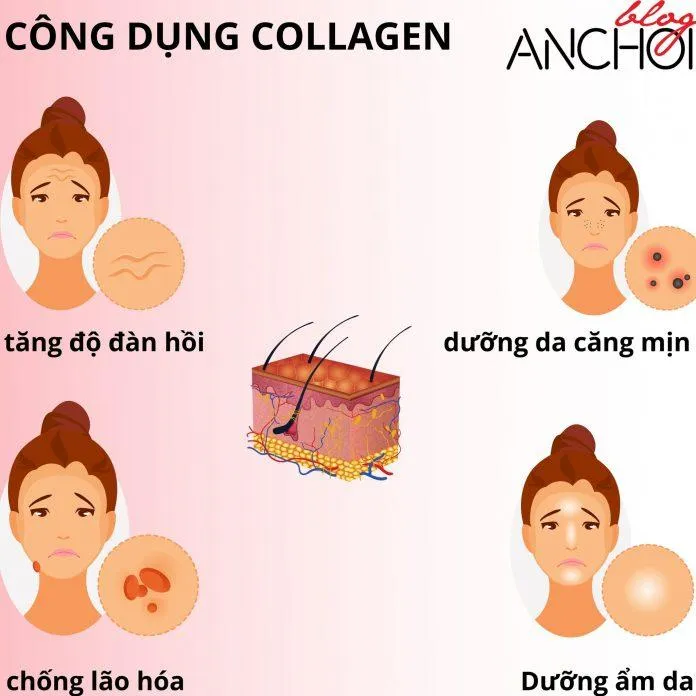 Các công dụng của collagen nước đối với da ( Nguồn: Blogphunu.edu.vn)