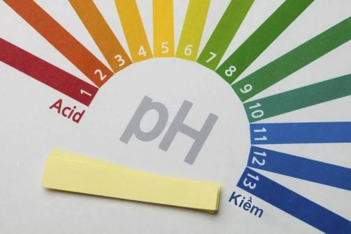 Độ pH trên da (Nguồn: Internet).