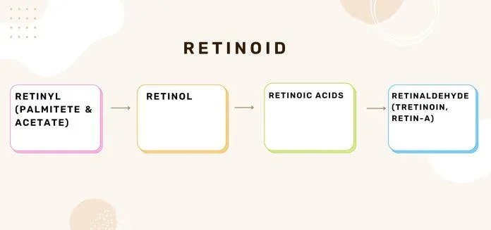 Dẫn xuất của Retinoid