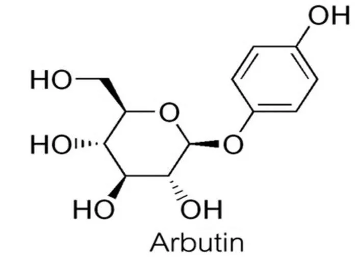 Bật tông da, giúp da tươi sáng là công dụng của Arbutin( Nguồn:Internet )