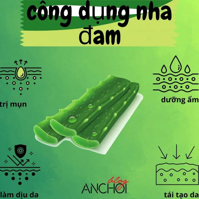 Nha đam có tác dụng gì cho da mặt? Tham khảo 12 tips làm đẹp bằng nha đam đơn giản ngay tại nhà