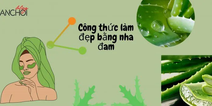 Tham khảo ngay các TIPS làm đẹp bằng nha đam đơn giản, hiệu quả ngay tại nhà ( Nguồn: Blogphunu.edu.vn)