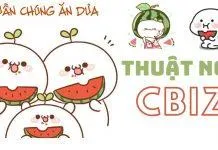 thuật ngữ cbiz (Ảnh: Blogphunu.edu.vn)