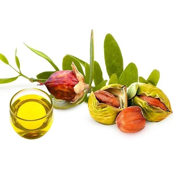 Tinh dầu hạt Jojoba, một thành phần quan trọng của sản phẩm (ảnh: internet). 