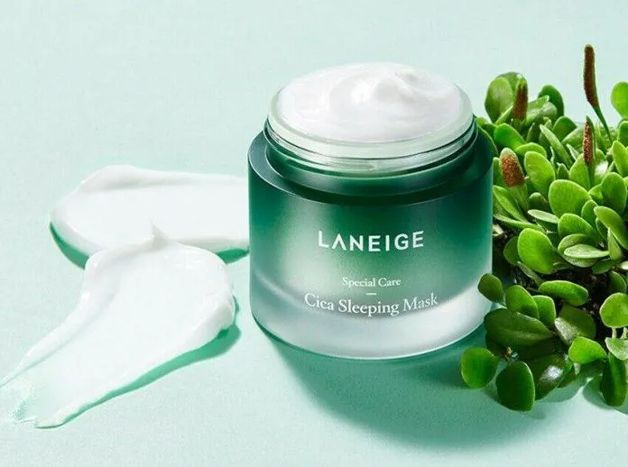 Thành phần chính mặt nạ ngủ Laneige Cica Sleeping Mask