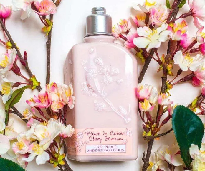 Review sữa dưỡng thể LOccitane Cherry Blossom Shimmering Lotion: Dưỡng da ẩm mịn, thơm hương anh đào bao bì Bitter Cherry Extract bơ hạt mỡ Chiết xuất quả cherry chống lão hoá chống oxy hóa chống viêm công dụng dưỡng ẩm dưỡng da dưỡng thể giá bao nhiêu glycerin Grape Seed Oil làm mềm da Limonene Review sữa dưỡng thể L Occitane Cherry Blossom Rosemary leaf extract Shea Butter sữa dưỡng Sữa dưỡng thể sữa dưỡng thể L Occitane Cherry Blossom Shimmering Lotion Sunflower Seed Oil thành phần thiết kế thông tin thương hiệu