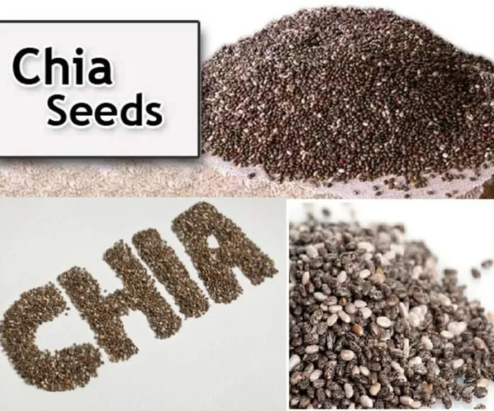 The Face Shop Chia Seed Fresh Foaming Cleanser