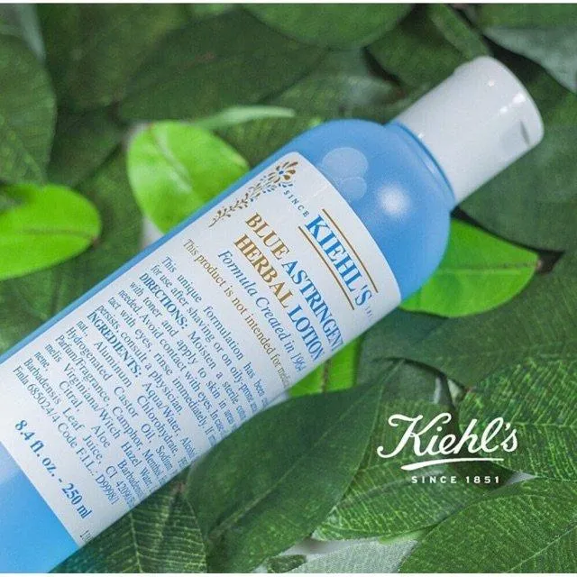 Review Toner Kiehls Blue Astringent Herbal Lotion kiểm soát dầu, làm sạch sâu cho da dầu và da mụn 98 chiết xuất lô hội Aloe Barbadensis Leaf Extract (chiết xuất lá lô hội) Camphor chiết xuất cây phỉ công dụng da dầu da mụn giảm bài tiết bã nhờn Kiehls kiềm dầu kiểm soát dầu làm sạch làm sạch sâu long não Menthol Quynh Anh Shyn review toner kiehl s sản phẩm SODIUM PCA thông tin thương hiệu tinh dầu bạc hà toner kiehl s Toner Kiehl s Blue Astringent Herbal Lotion Witch Hazel Leaf Water