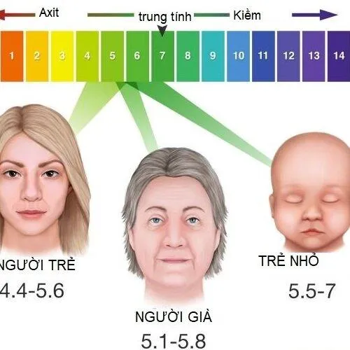 Độ pH tự nhiên của da là 5.5 do đó cần chọn sản phẩm có độ pH từ 4.5 - 6.5. Ảnh: Internet