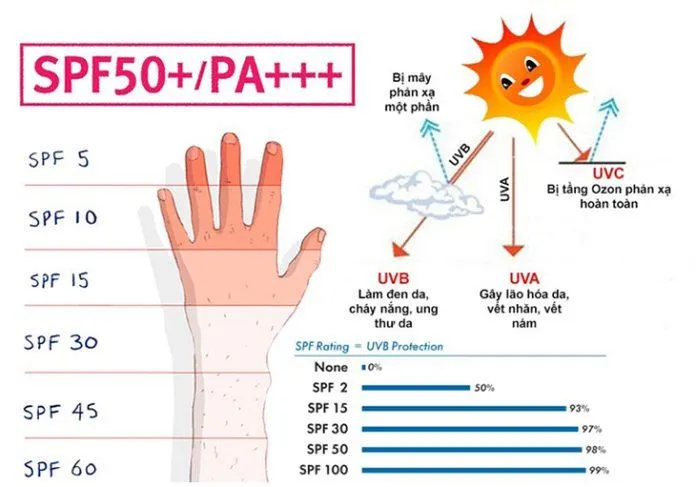 Chỉ số SPF và PA là những chỉ số quan trọng cần chú ý khi lựa chọn sản phẩm kem chống nắng. Ảnh: Internet