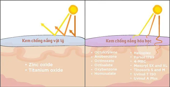 Kem chống nắng hóa học