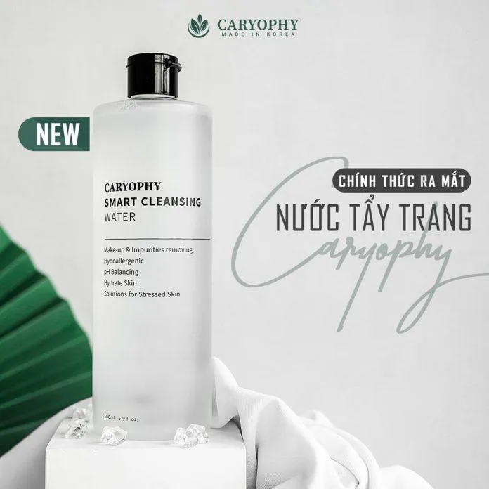 Nước tẩy trang Caryophy Smart Cleansing Water mang đến công dụng đa zi năng phù hợp với các nhu cầu của riêng bạn ( Nguồn: internet)