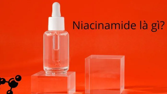 Niacinamide là một dạng vitamin ức chế sản sinh tyrosine nên có tác dụng dưỡng sáng da, làm mờ vết thâm (Nguồn: Blogphunu.edu.vn)